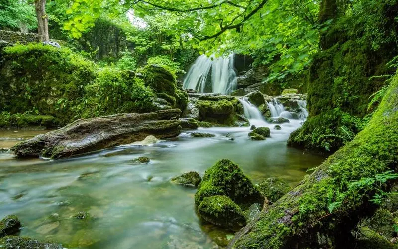 高端高端